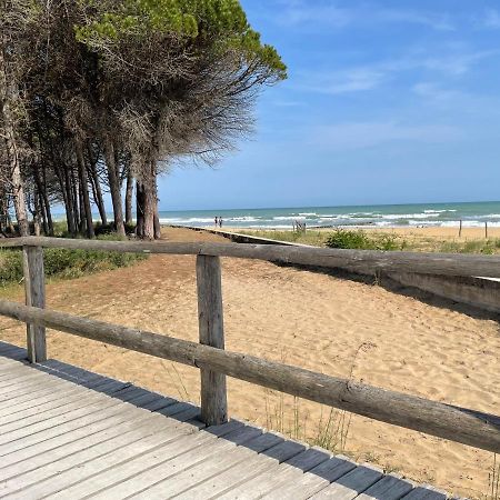 Malibu Apartments Μπιμπιόνε Εξωτερικό φωτογραφία
