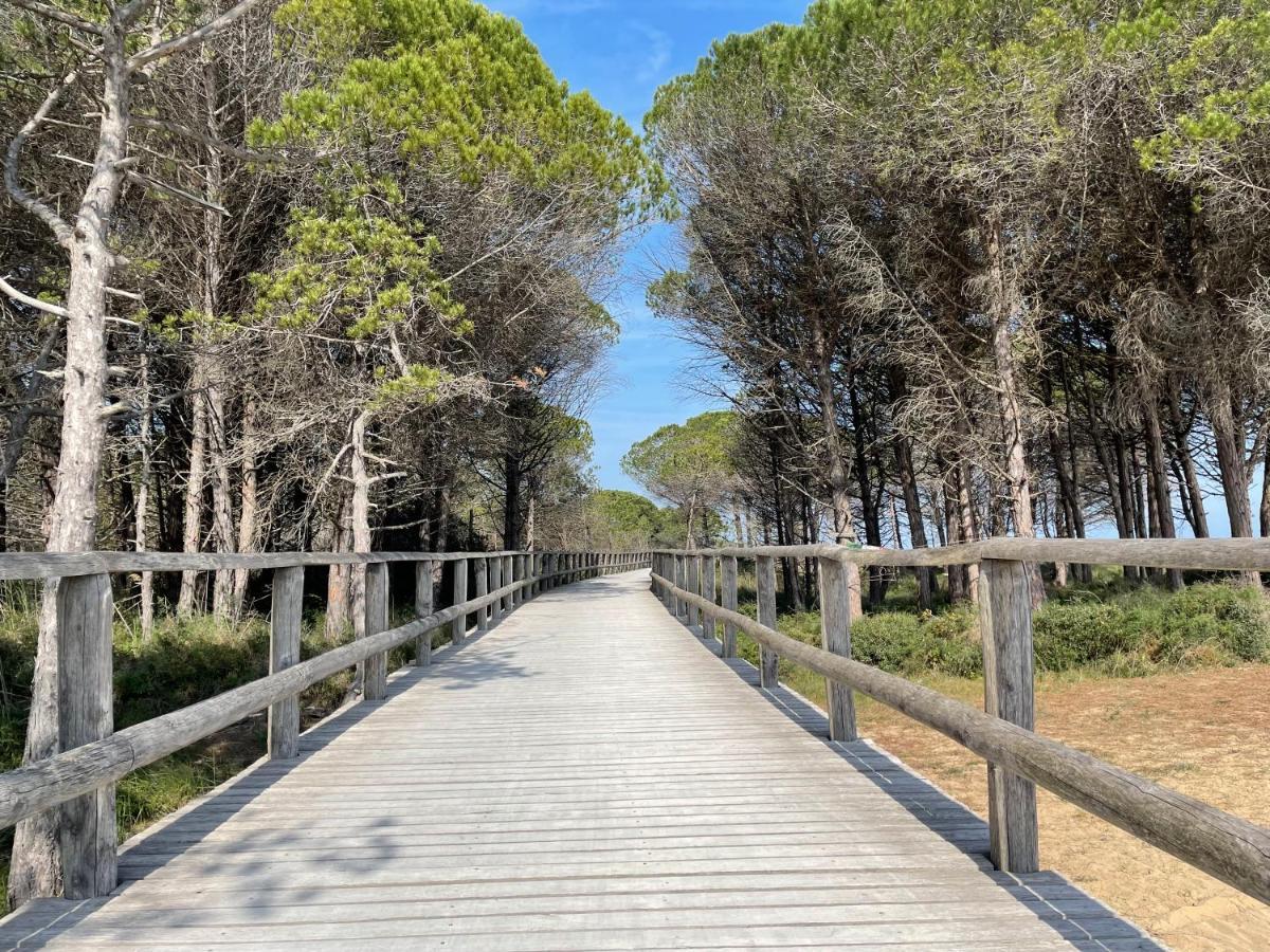 Malibu Apartments Μπιμπιόνε Εξωτερικό φωτογραφία