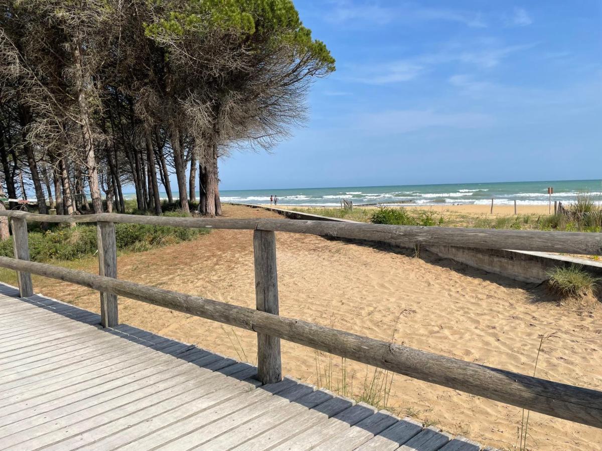 Malibu Apartments Μπιμπιόνε Εξωτερικό φωτογραφία